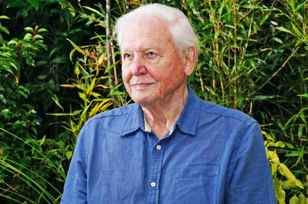Robert Attenborough